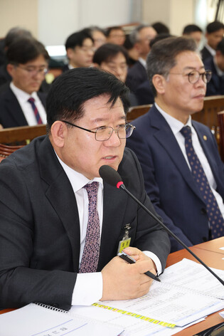 Acting police chief at parliamentary session