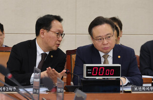 Health minister at parliamentary session