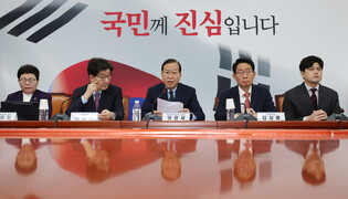 Ruling party's interim leader