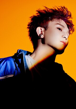 세븐틴 프로듀서 범주, '저작권대상' 작사·작곡·편곡대상 석권