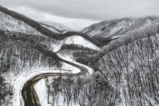 Snowy scene