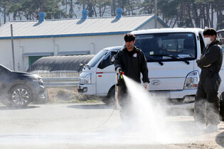 Foot-and-mouth disease outbreak in S. Korea
