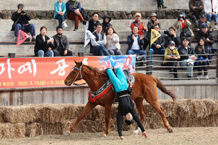Jeju Fire Festival