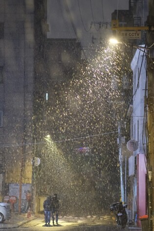 Snowfall in Seoul