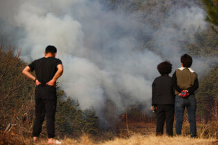 Wildfire in southeastern region