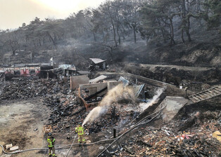 Wildfire in southeastern region