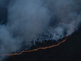 Wildfire in southeastern region