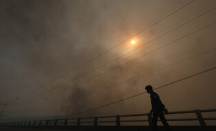 Wildfire in southeastern region