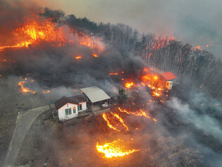 Wildfire in southeastern region