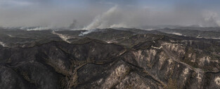 Wildfire in southeastern region