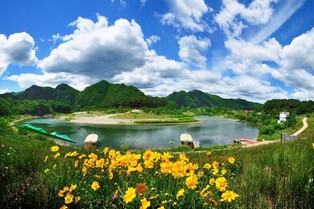 단종의 슬픈 역사 간직한 영월 청령포…4월의 지질·생태 명소