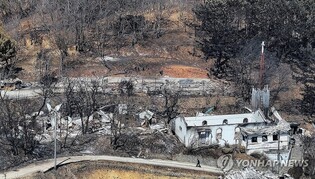 보물 고운사 불상도, 주왕산 계곡도 화마에 피해…누적 33건