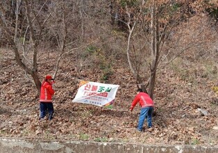 세종시, 입산금지 행정명령 발령…벚꽃축제 축소 운영
