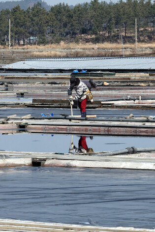 Taepyung Salt Farm cleared of forced labor after U.S. import ban