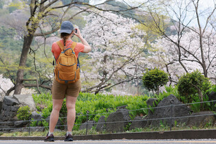 Warm weather in spring