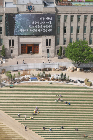 Lawn for spring