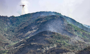 Wildfire in southeastern city