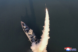 N. Korea's 1st firing test of new warship's weapons systems