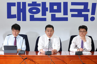 Ruling party's whip
