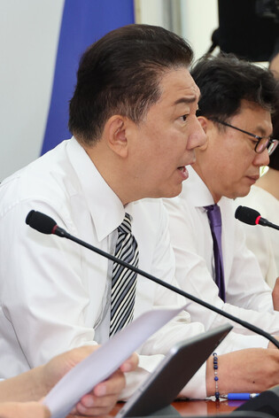 Ruling party's whip
