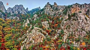 한민족이 사랑한 천하제일 명산…금강산, 北 3번째 세계유산 됐다(종합)
