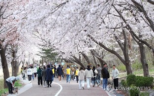 올 2분기 속초 630만명…체류형 관광도시 성과 뚜렷