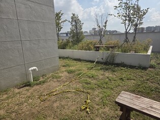 (2nd LD) Police consider digital forensics over death of woman, daughters after fall from building