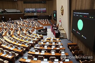 Nat'l Assembly approves parliamentary probe into deadly 2023 underpass flooding