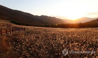 울산시, 정부에 '해양산악레저특구' 지정 신청…10월말 결정