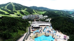 웰리힐리파크, 고령화율 높은 횡성군에 무릎보호대 3천개 기부