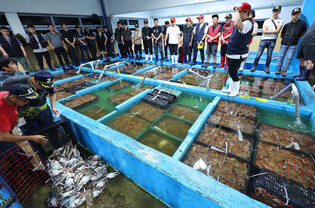 Bidding at crab market