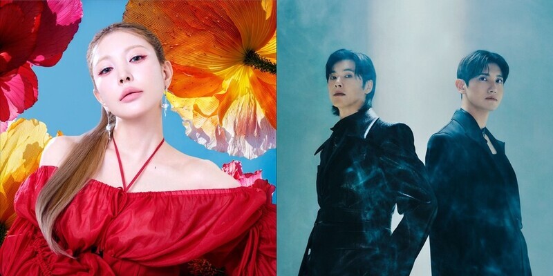 보아·동방신기, 첫 듀엣곡…日 드라마 OST 불러