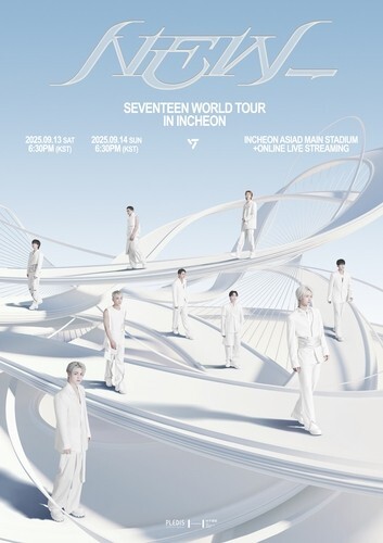 세븐틴 공연서 폭죽 객석에 떨어져 2명 부상…"치료 지원"