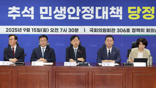 Ruling party-gov't meeting
