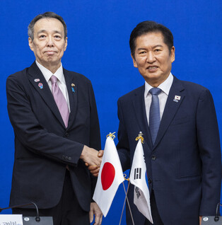 Ruling party's leader meets Japanese envoy