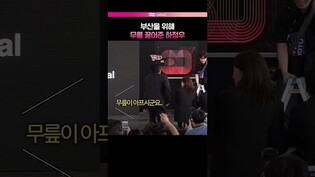엄살이 아니었던 하정우 무릎 #하정우 #윗집사람들 #부산국제영화제