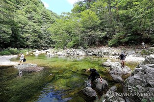 인제군, 청정 자연 앞세워 '1천만 관광도시' 도약 잰걸음