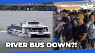 Flawed from the outset? Seoul's Han River bus suspended after just 10 days of service