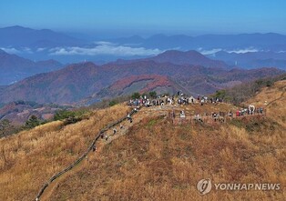 은빛 물결 따라 걷는 힐링…정선 민둥산 억새 축제 D-3