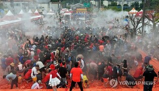 화천토마토축제 방문객 절반 이상 수도권 시민…지역경기 견인