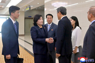 N. Korea's top diplomat returns home from China