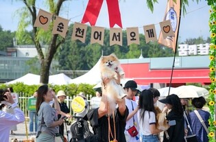 '댕댕이와 가을 여행'…순천, 반려동물 동반 행사 풍성