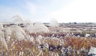 만경강 발원 밤샘에 생태공원 준공…황토탐방로·숲속놀이터 등