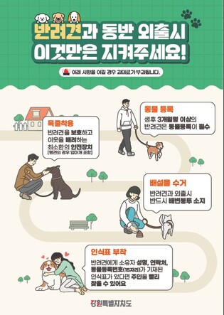 '반려동물과 함께 안전한 추석을'…강원도, 동행 캠페인 추진