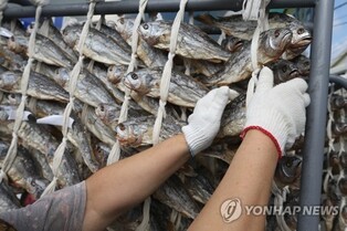 참조기로 말린 굴비는 옛말…이젠 중국산 부세가 대세