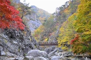 "불법·무질서 안 돼"…주왕산 국립공원 11일부터 집중 단속