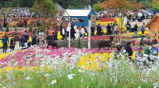 가을꽃부터 황태까지…인제군, 10월 한달 행사·축제 다채