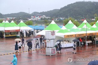 양양 송이 가격 일주일 새 ⅓로 '뚝'…송이 축제장 활기