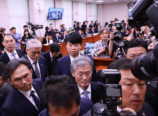 Top court chief justice at parliamentary audit