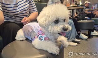 '양산시 반려동물 문화축제' 26일 열려…성숙한 반려 문화 확산